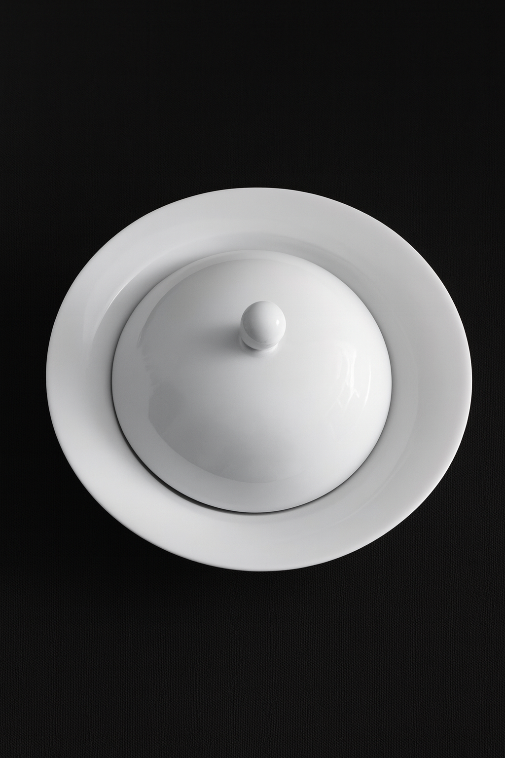 Gourmet Teller mit Deckel (21cm)